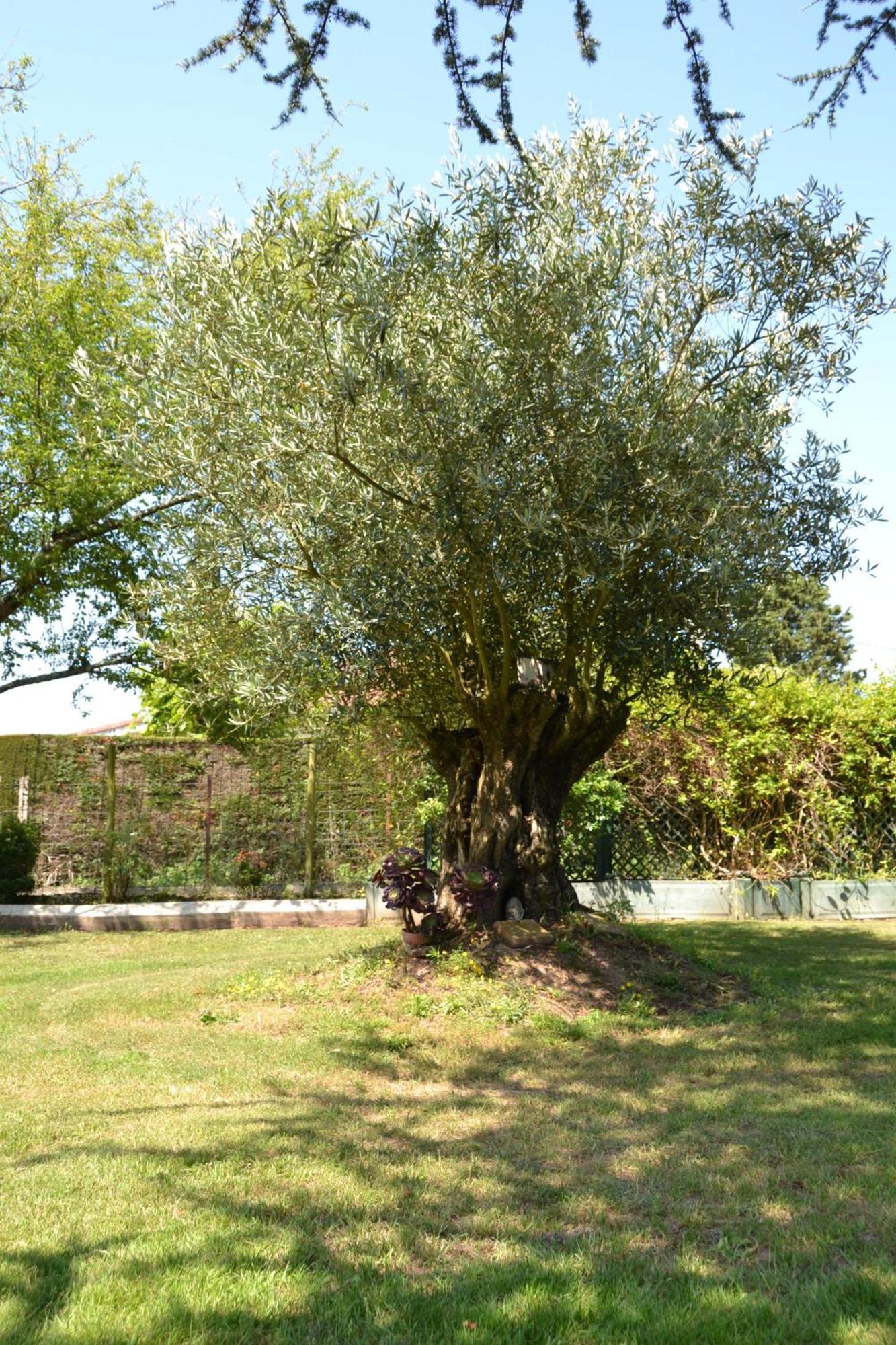 Le Gite De La Lombriere Saint-Denis-de-Pile Екстериор снимка